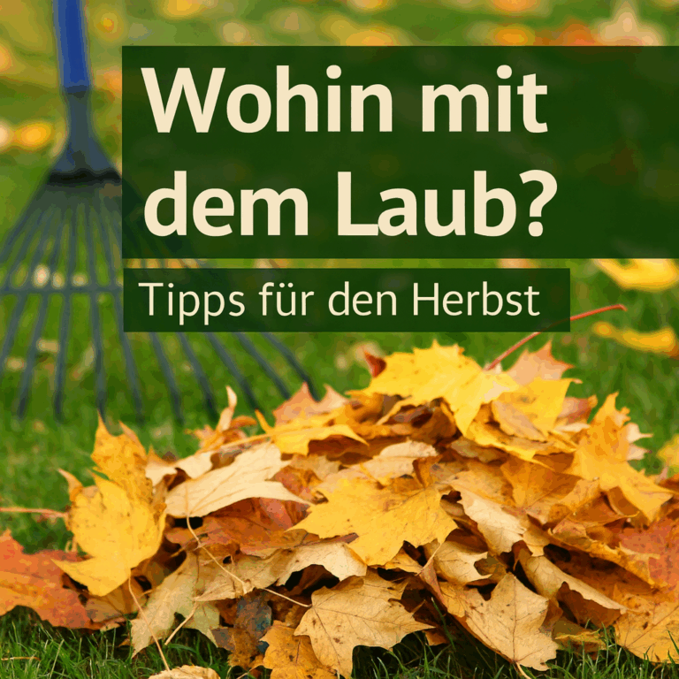 Herbstlaub entsorgen Kreis Gütersloh – wohin mit den Blättern?