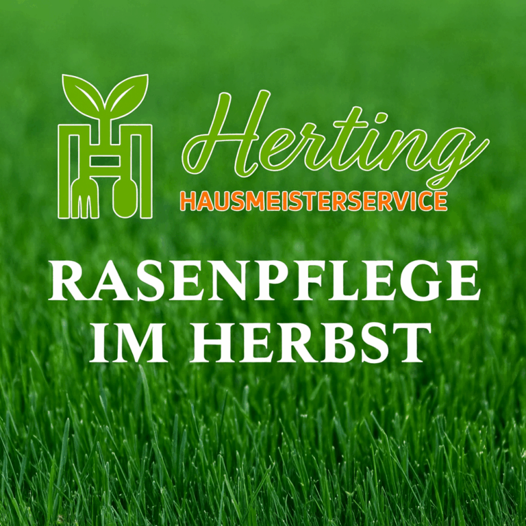 Rasenpflege im Herbst – so bleibt Ihr Rasen im Frühjahr gesund